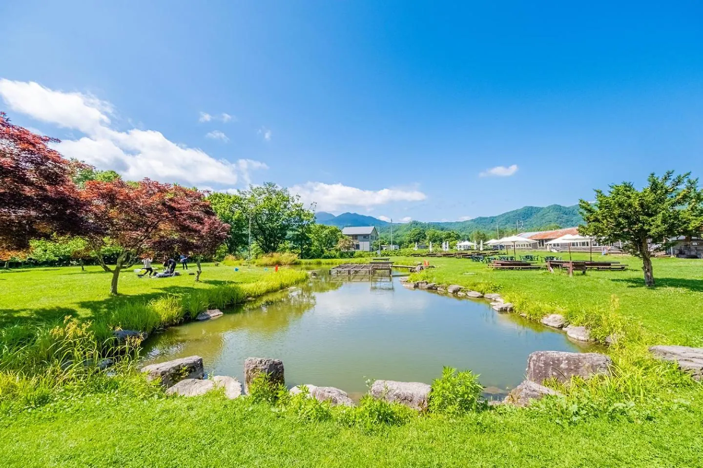 Onsen Villa LIONS205 Max6人 Max3stay 札幌 日本